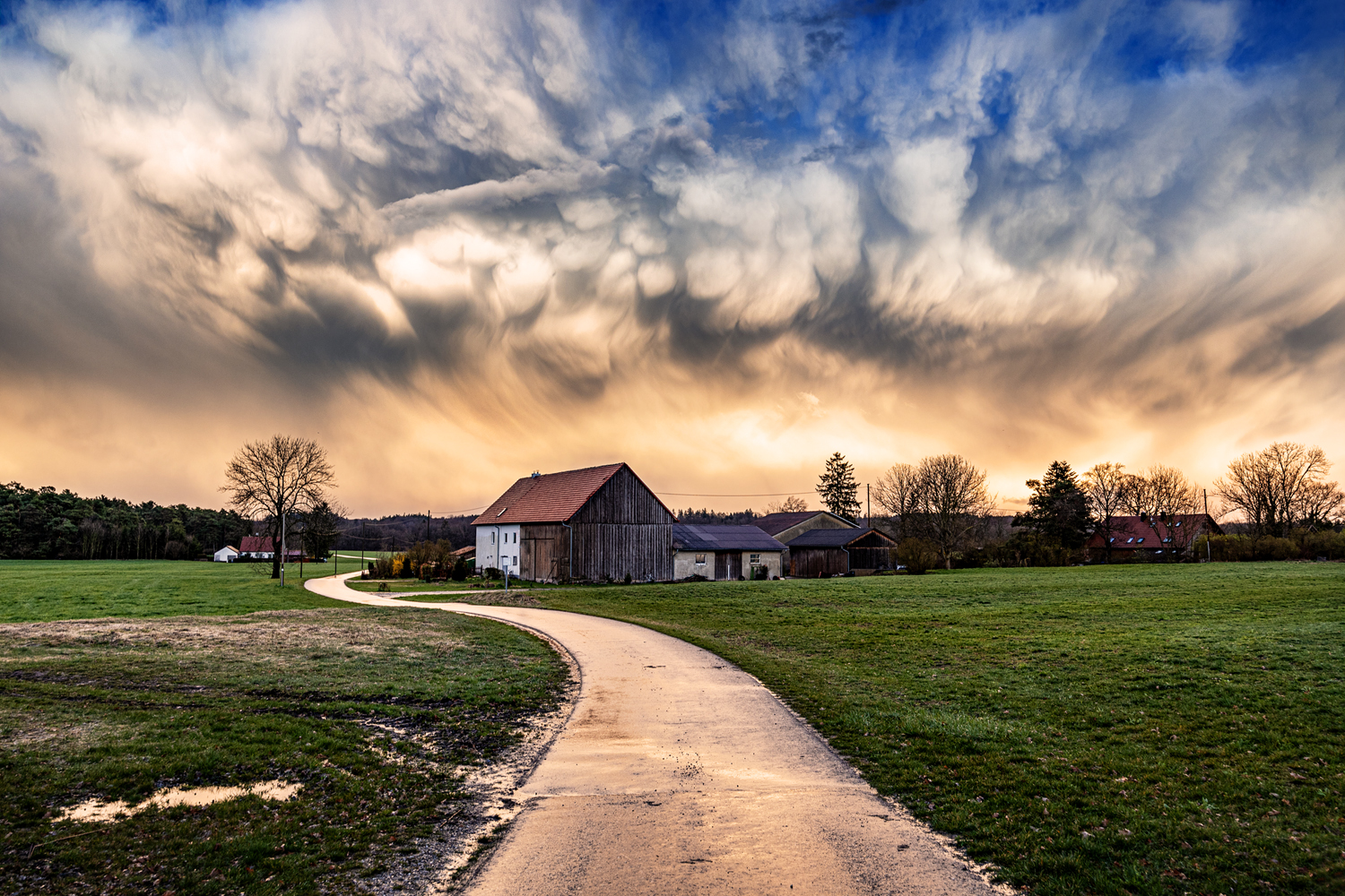 mammatus 