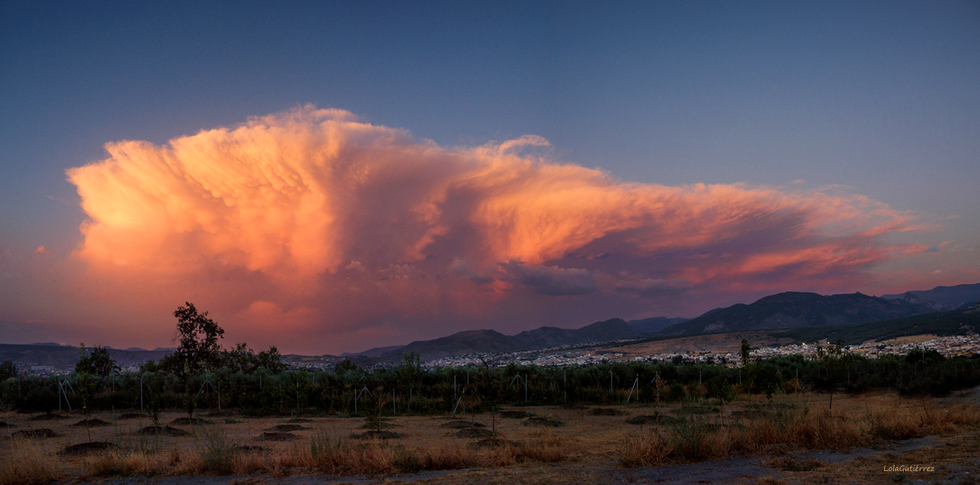 Mammatus