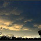 Mammatus