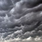 Mammatus