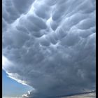 Mammatus