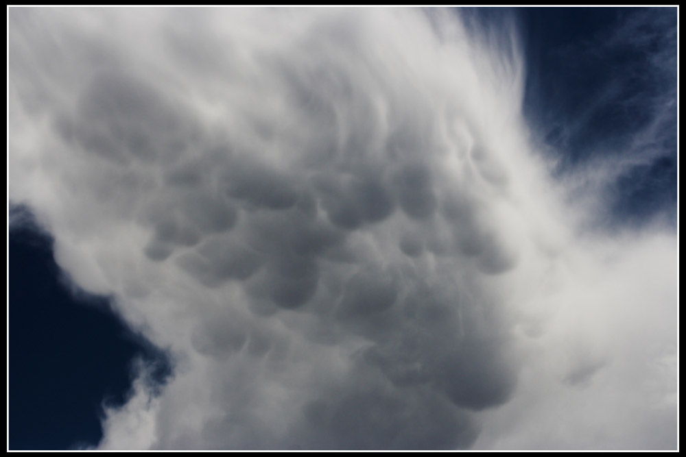 Mammatus