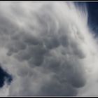 Mammatus