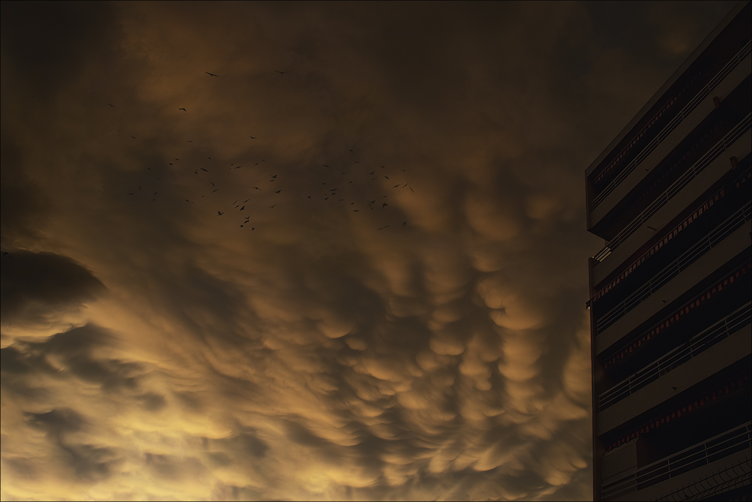 Mammatus