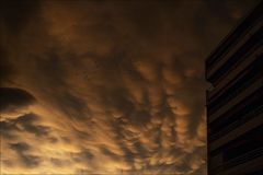 Mammatus