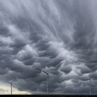 Mammatus