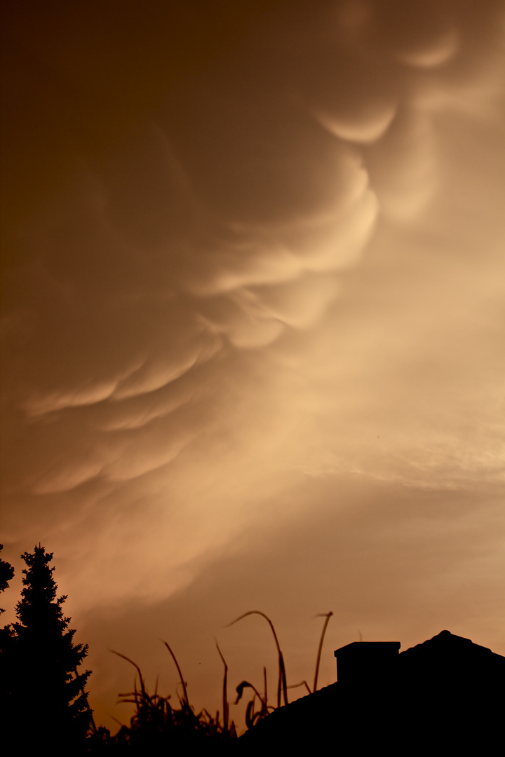 |Mammatus Clouds|