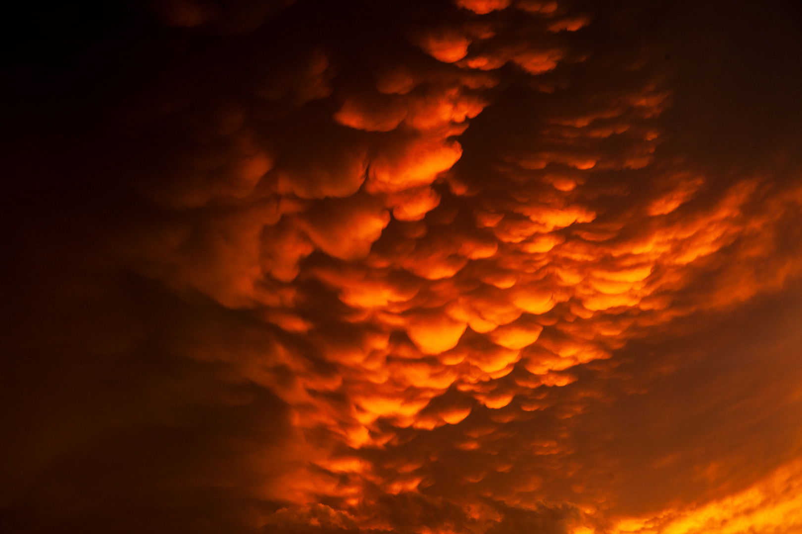 Mammatus Clouds @ Sunset