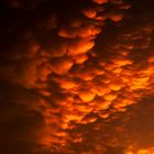 Mammatus Clouds @ Sunset