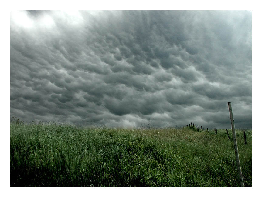 Mammatus-Cumulonimbus