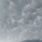 Mammatus