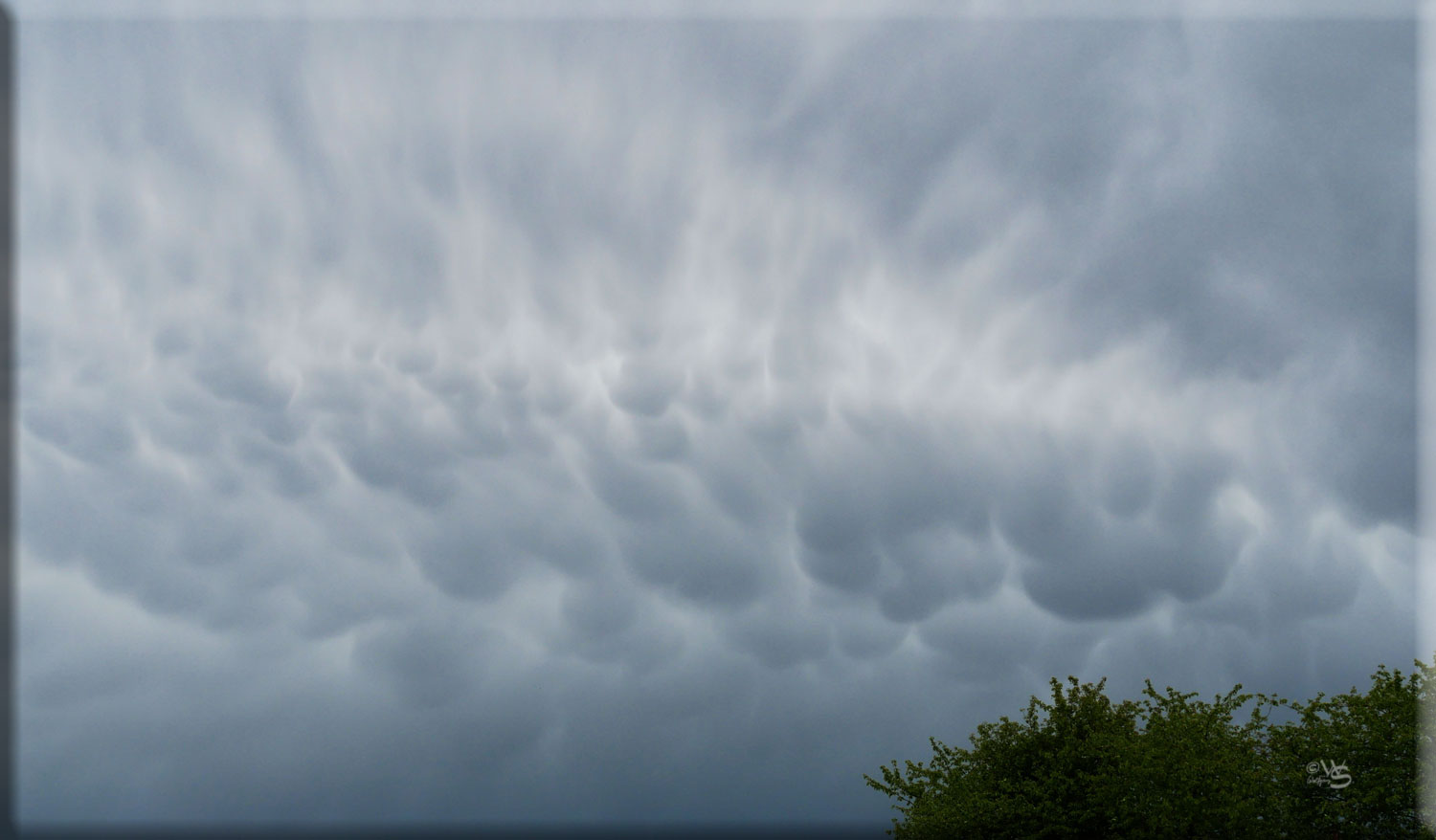 Mammatus...