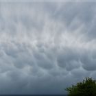 Mammatus...