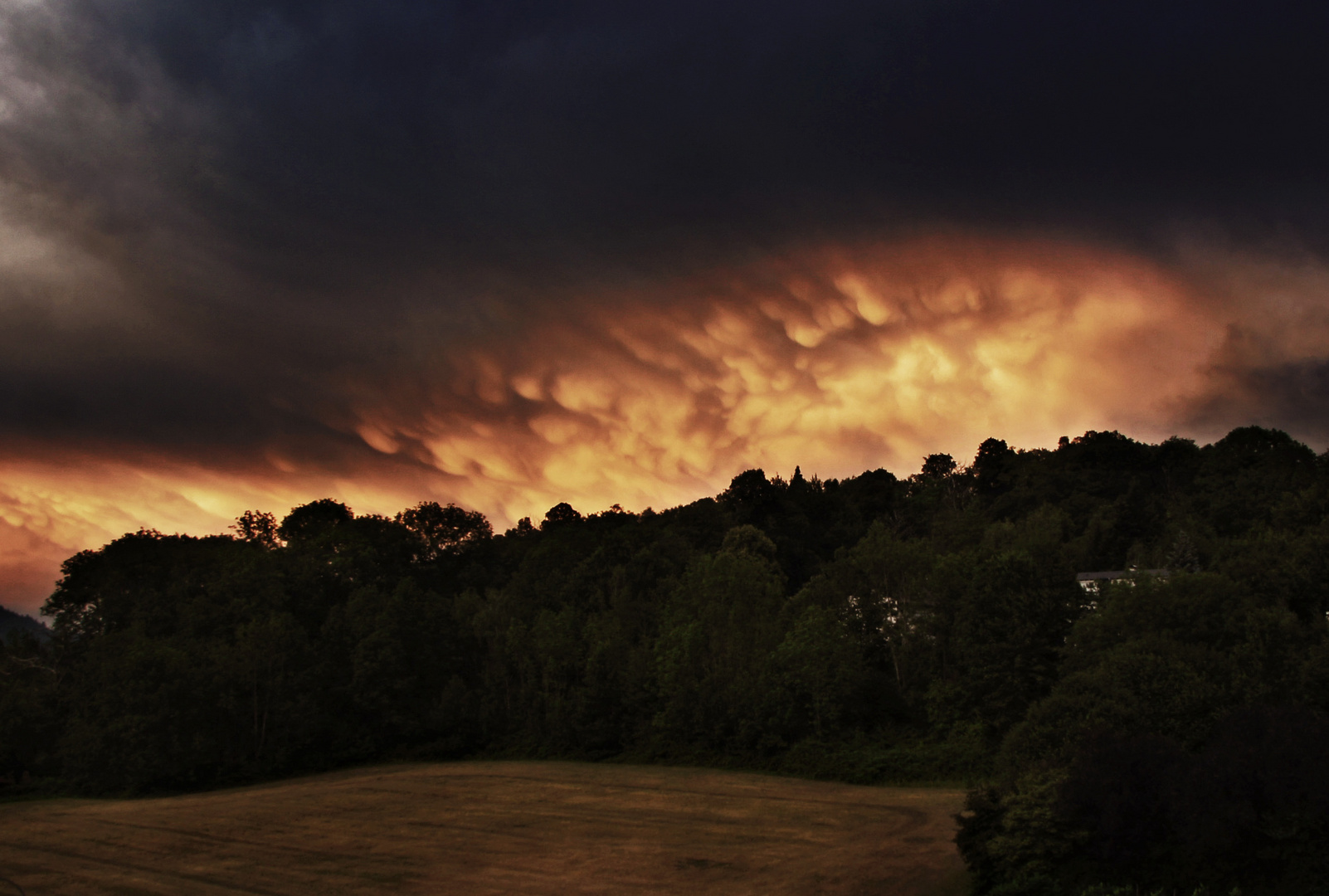 Mammatus