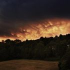 Mammatus