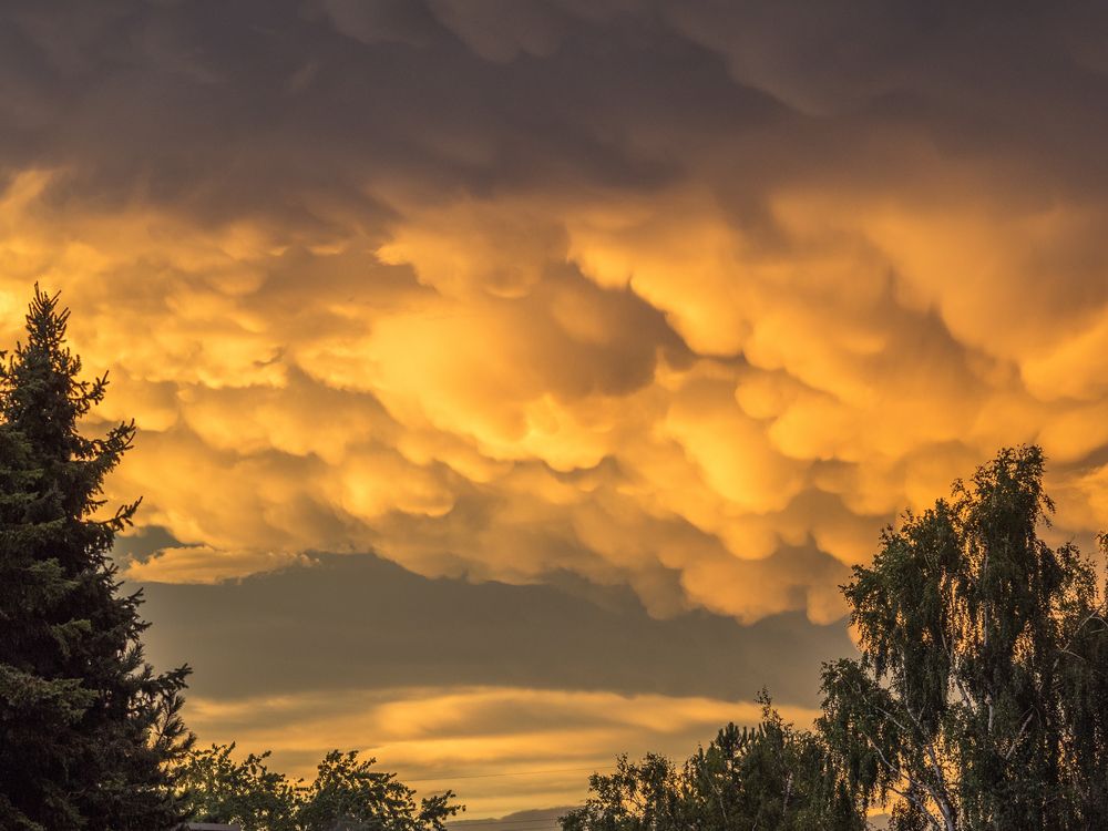 Mammatus