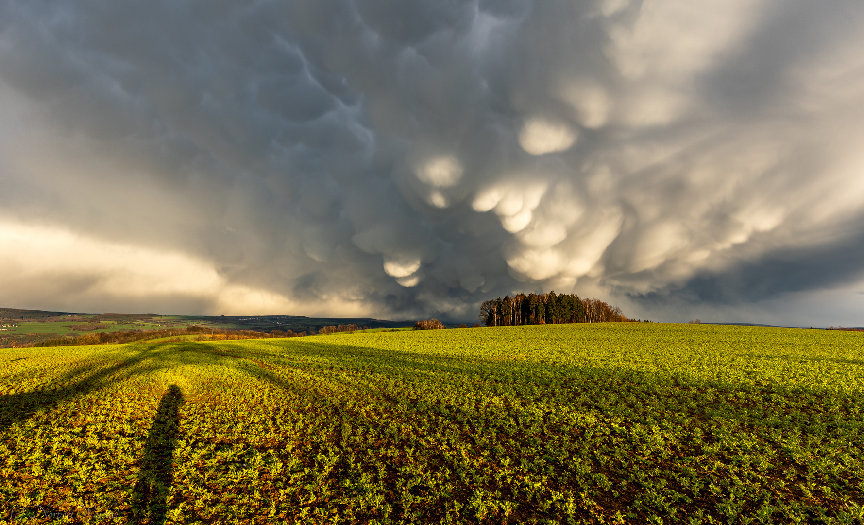 Mammatus Magic...