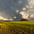 Mammatus Magic...