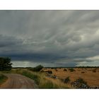 Mammatus über Öland