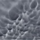 Mammatus und Hubschrauber