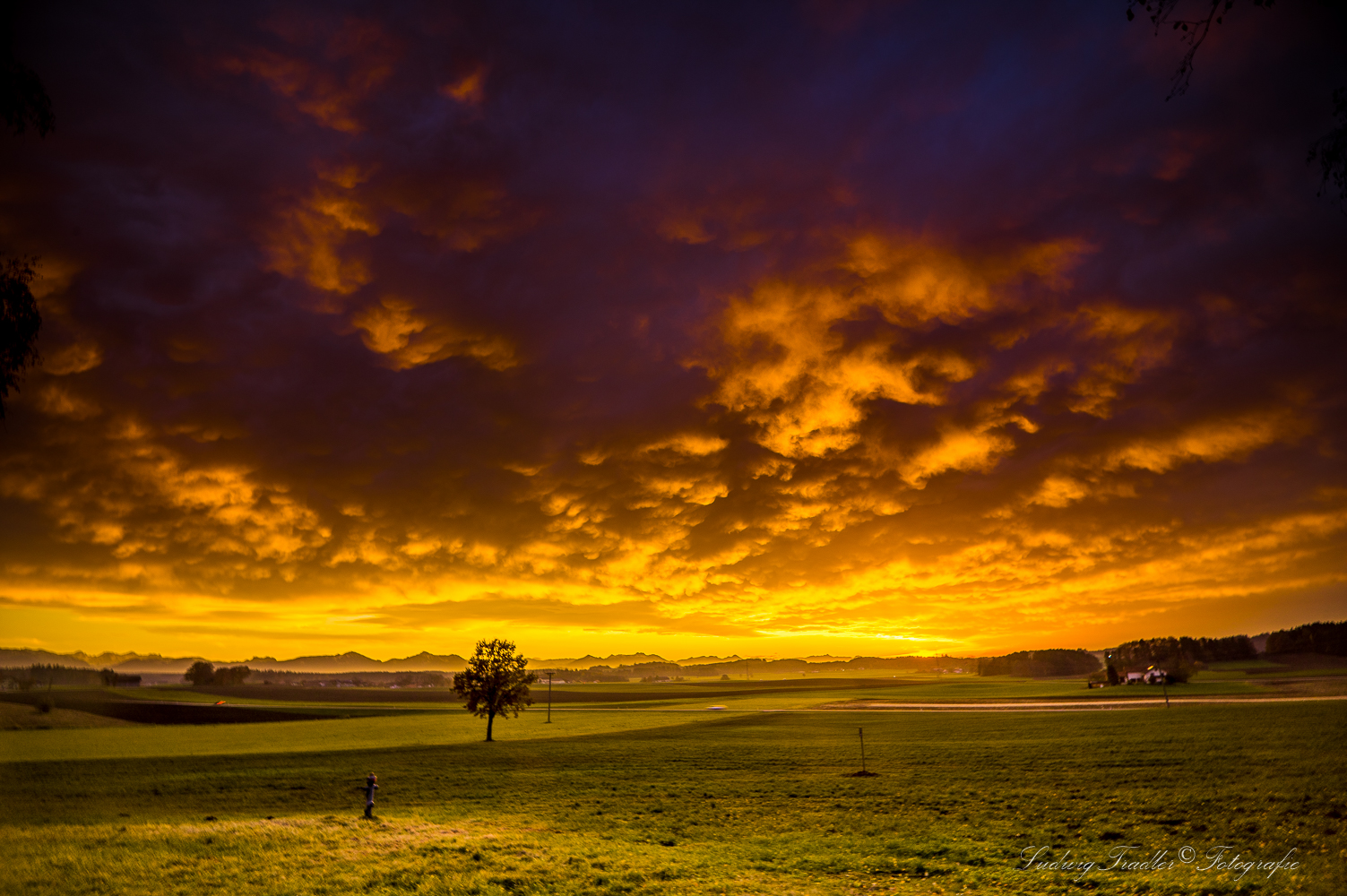 Mammatus und Saharastaub 