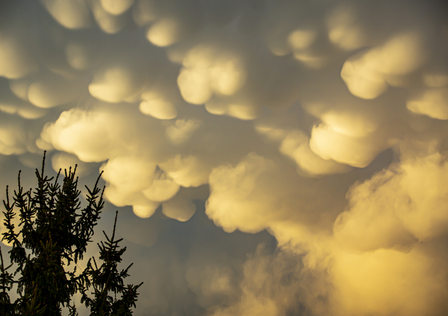 Mammatus Wolken 