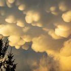 Mammatus Wolken 