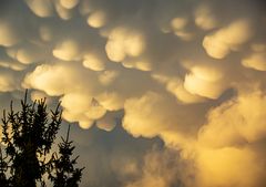 Mammatus Wolken 