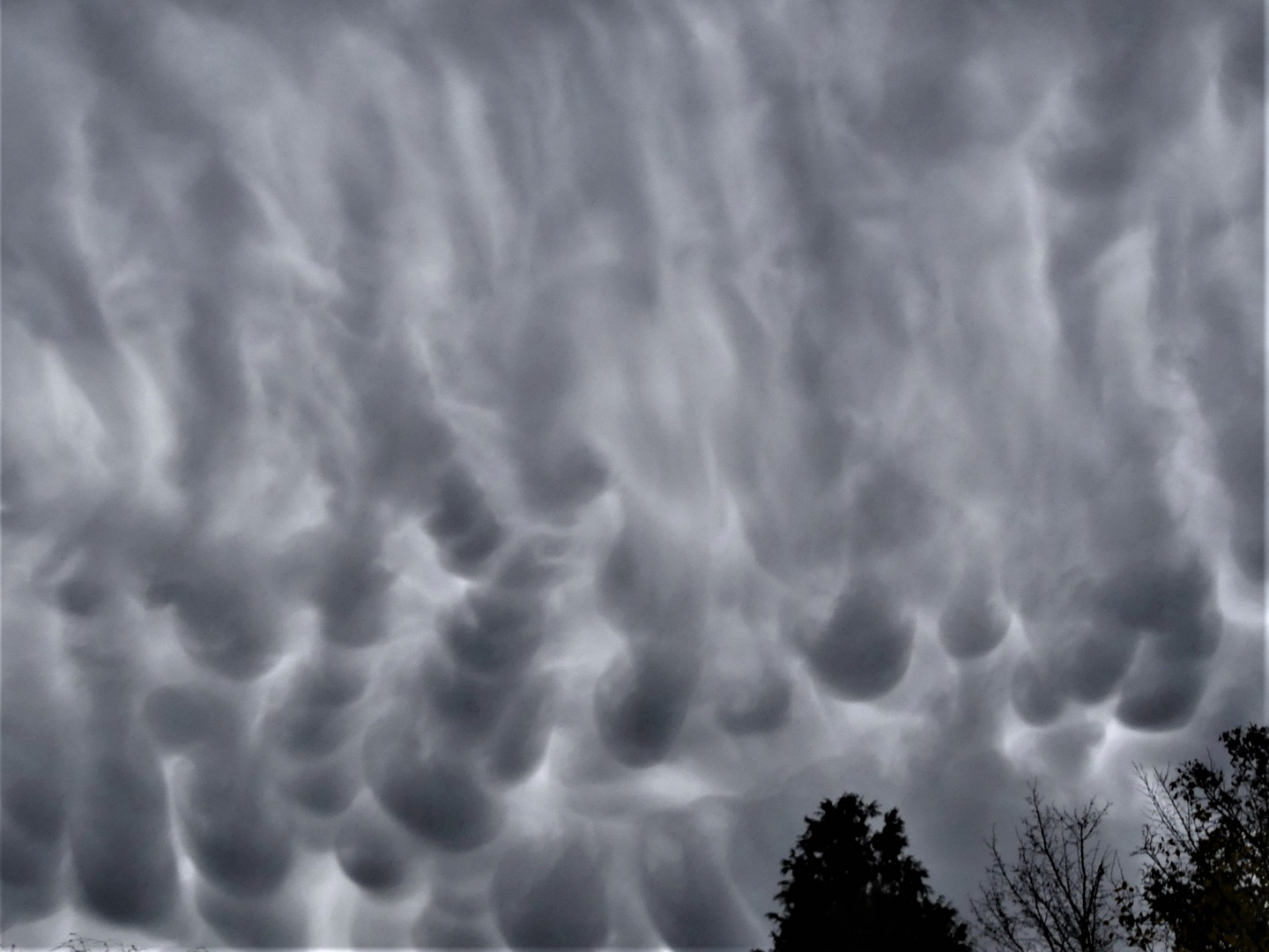 Mammatus Wolken 