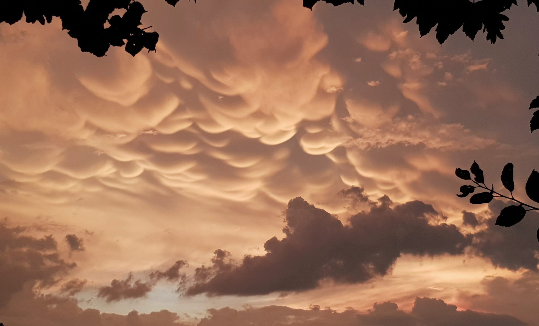 Mammatus Wolken