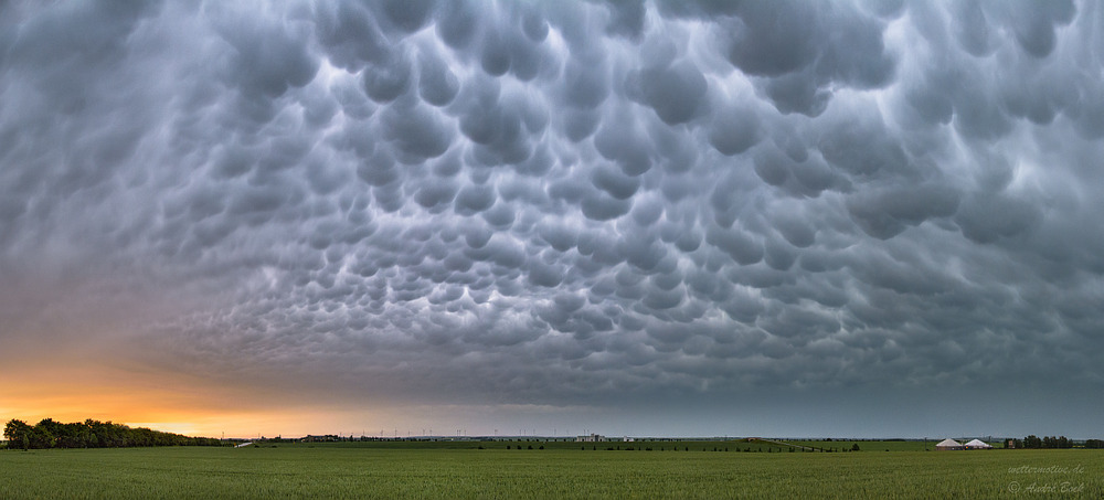 Mammatuswolken am Abend