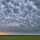 Mammatuswolken am Abend