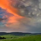 Mammatuswolken im Abendlicht