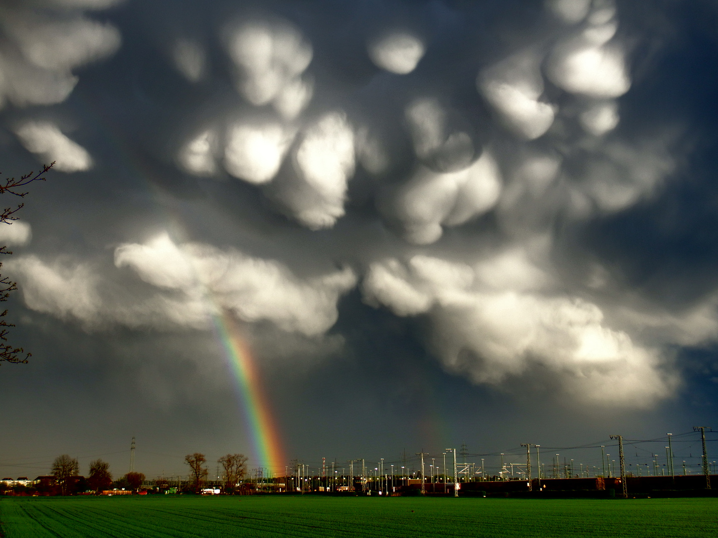 Mammatuswolken in der Abensonne