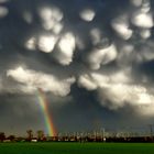 Mammatuswolken in der Abensonne