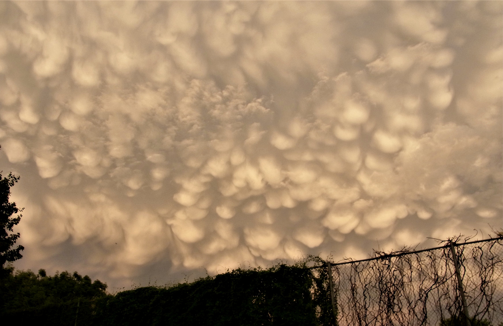 Mammatuswolken über Erding