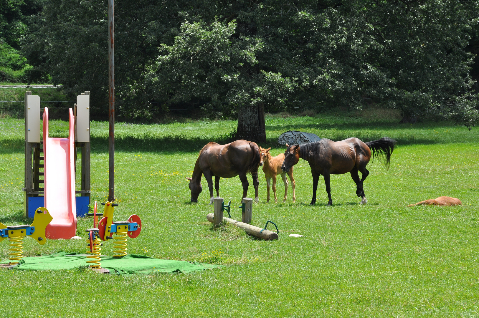 Mamme al parco giochi.