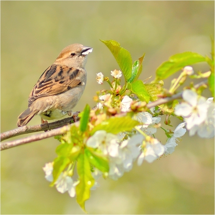 Mammi hat gesagt, wenn ich viel Vitamine esse werde ich auch so hübsch wie ein Eisvogel