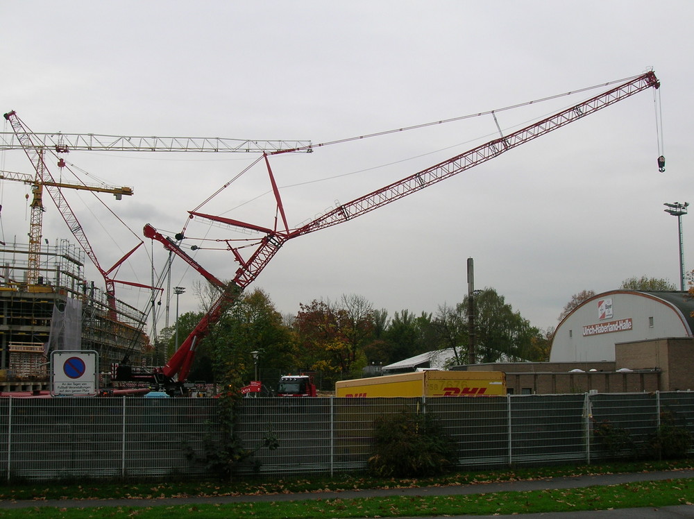 Mammoet in Leverkusen