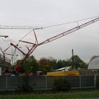 Mammoet in Leverkusen