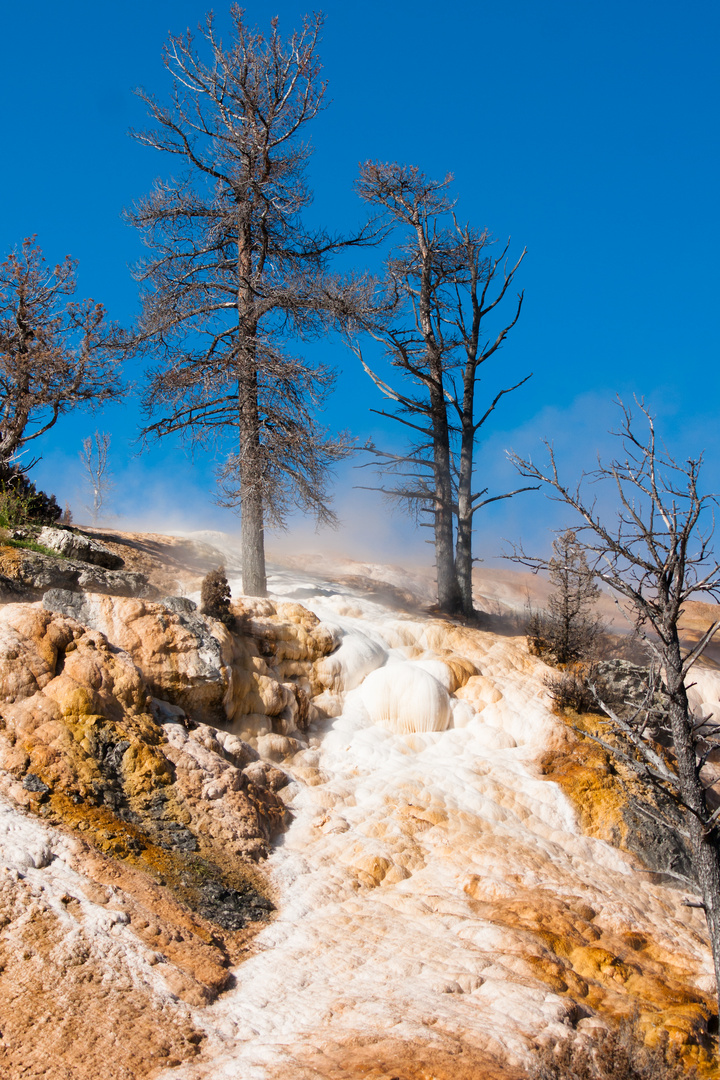 mammoth hot spring