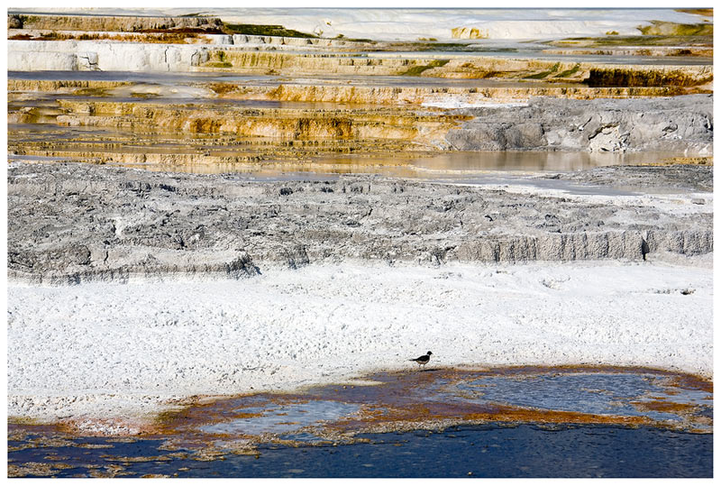 Mammoth Hot Spring, oder ....