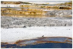 Mammoth Hot Spring, oder ....