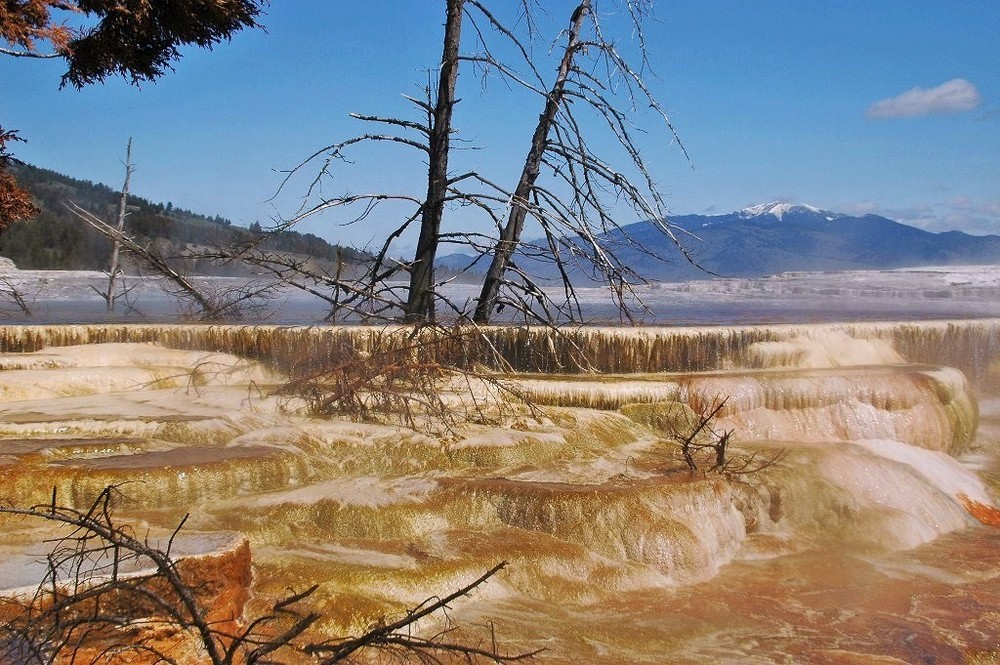 Mammoth Hot Spring Terraces