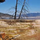 Mammoth Hot Spring Terraces