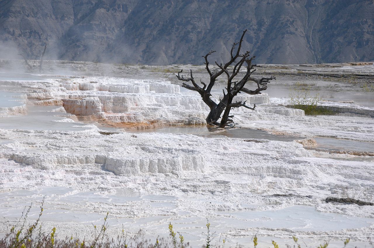 Mammoth Hot Spring Terraces