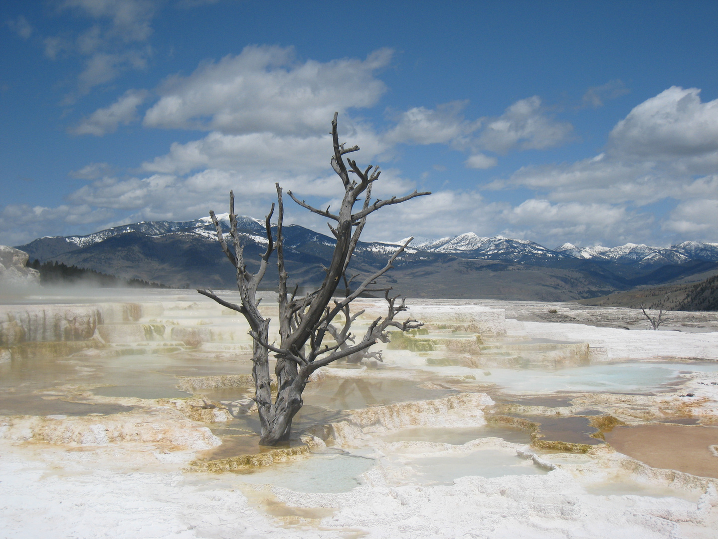 Mammoth Hot Springs