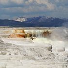 Mammoth Hot Springs