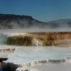 Mammoth Hot Springs 1