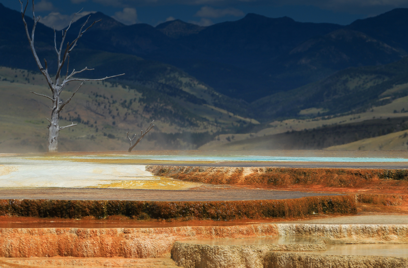 Mammoth Hot Springs 1